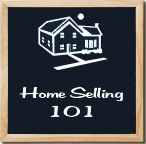 selling-experience-2012-nar-profile-of-home-buyers-and-sellers-seller-incentives