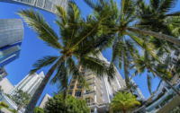 /wp-content/uploads/sites/4/2016/06/rsz_miami_palm_streets_high_rises_istock_000058153398_full.jpg